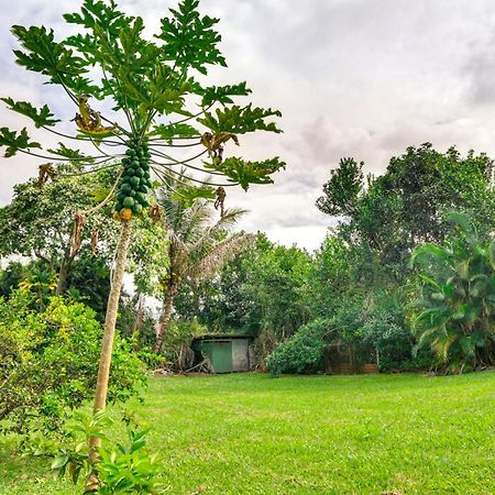 Charming Historic Hilo House Minutes To Beach! Екстериор снимка