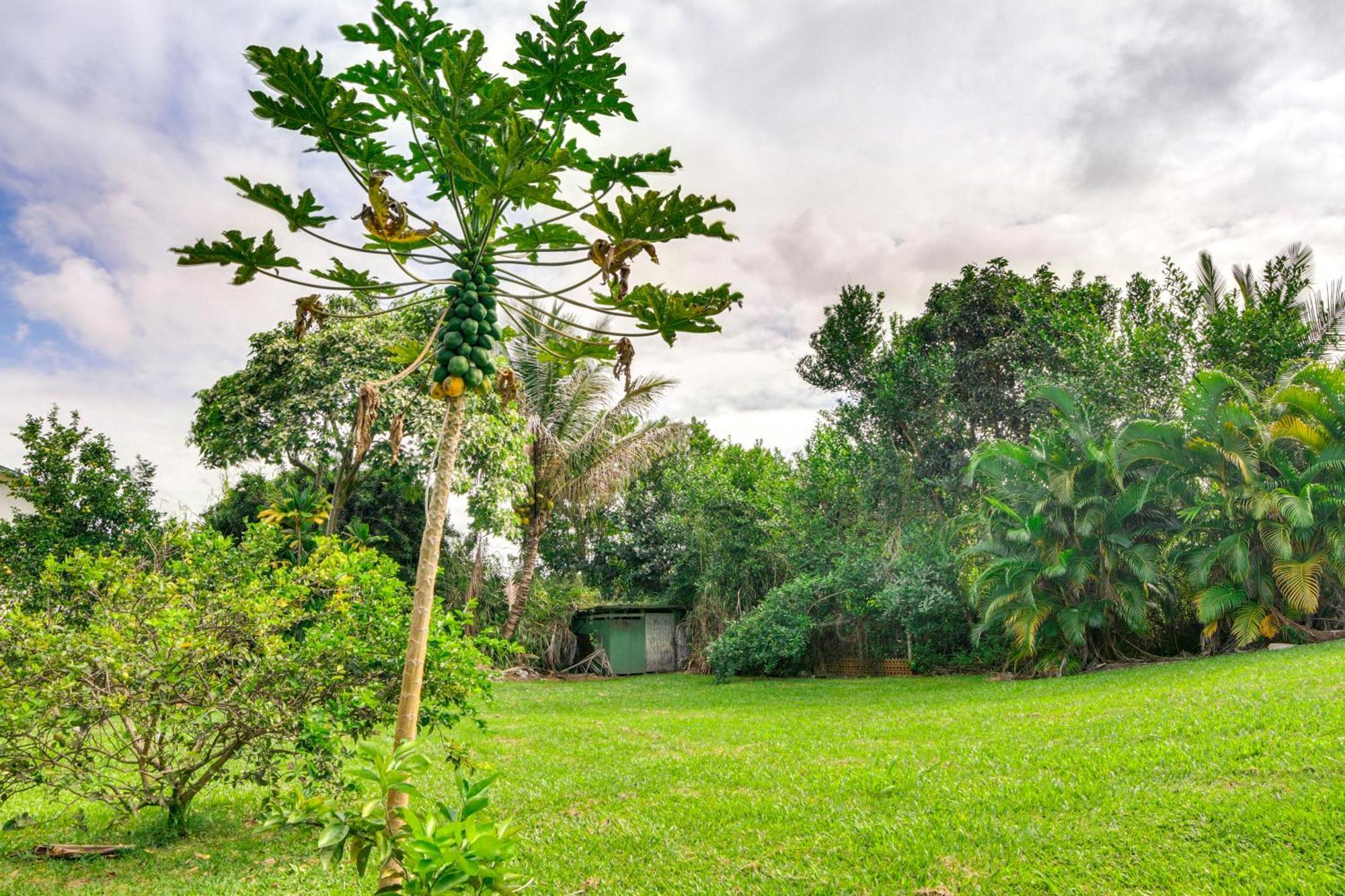 Charming Historic Hilo House Minutes To Beach! Екстериор снимка